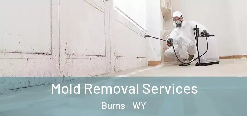  Mold Removal Services Burns - WY