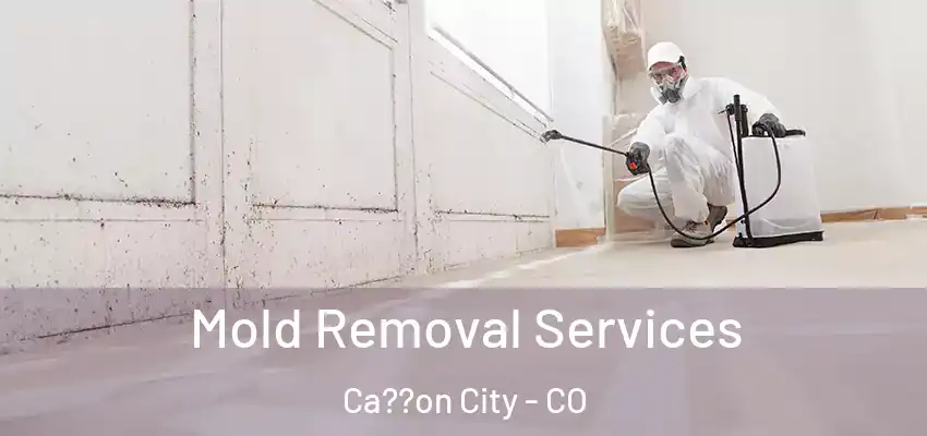  Mold Removal Services Ca??on City - CO