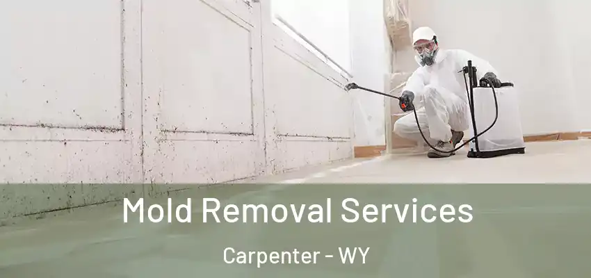  Mold Removal Services Carpenter - WY