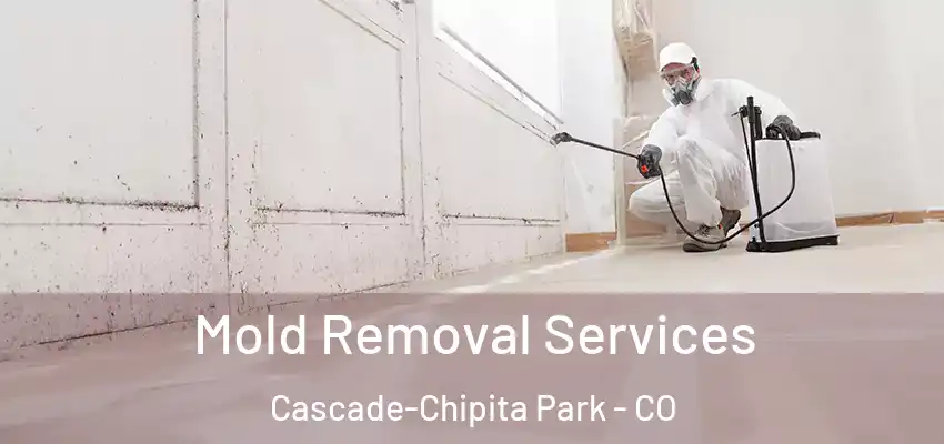 Mold Removal Services Cascade-Chipita Park - CO