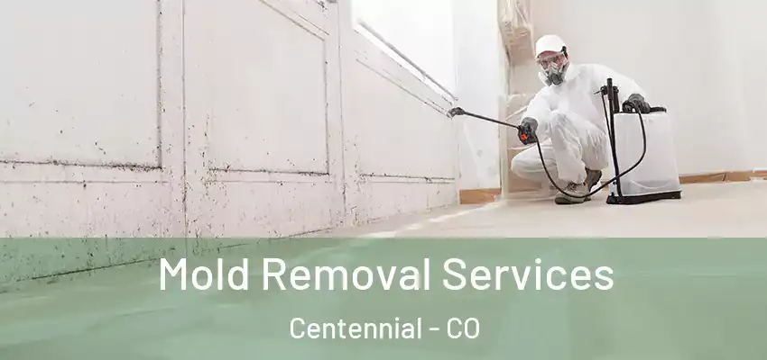  Mold Removal Services Centennial - CO