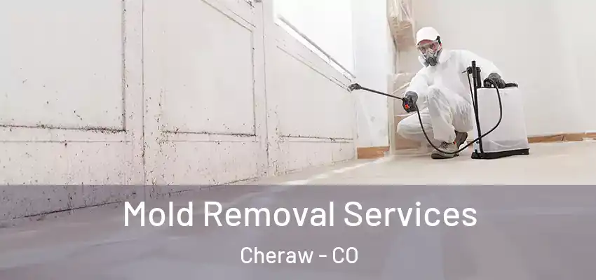  Mold Removal Services Cheraw - CO
