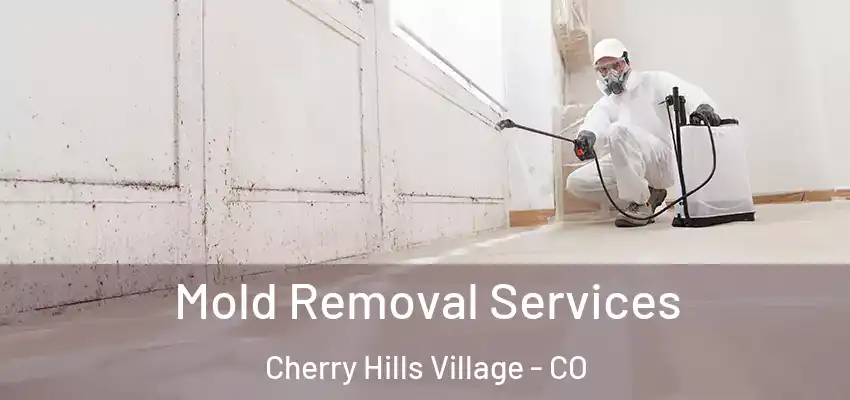  Mold Removal Services Cherry Hills Village - CO
