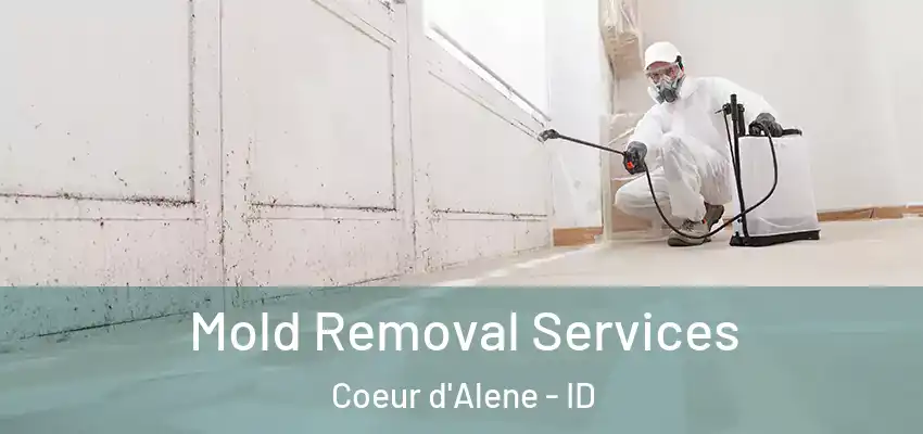  Mold Removal Services Coeur d'Alene - ID
