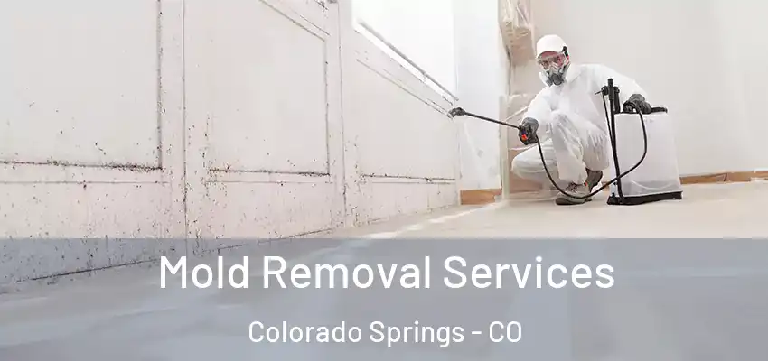  Mold Removal Services Colorado Springs - CO