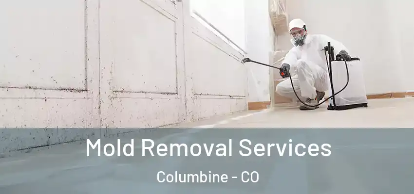  Mold Removal Services Columbine - CO