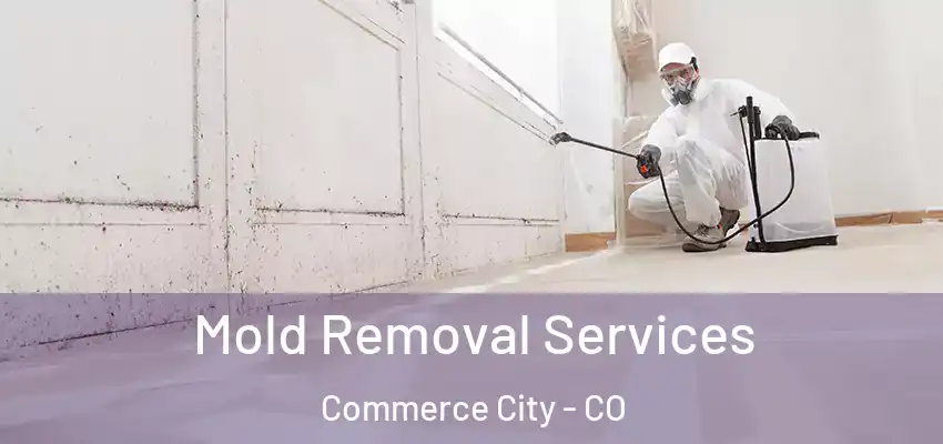  Mold Removal Services Commerce City - CO