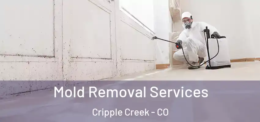  Mold Removal Services Cripple Creek - CO