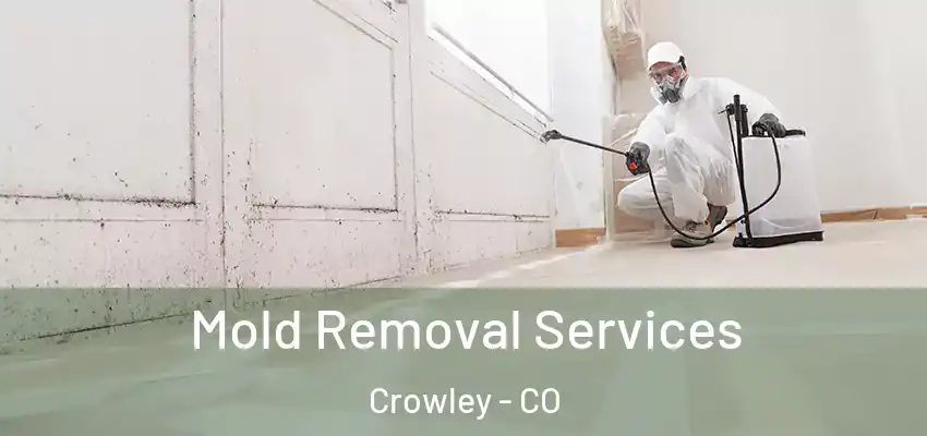  Mold Removal Services Crowley - CO