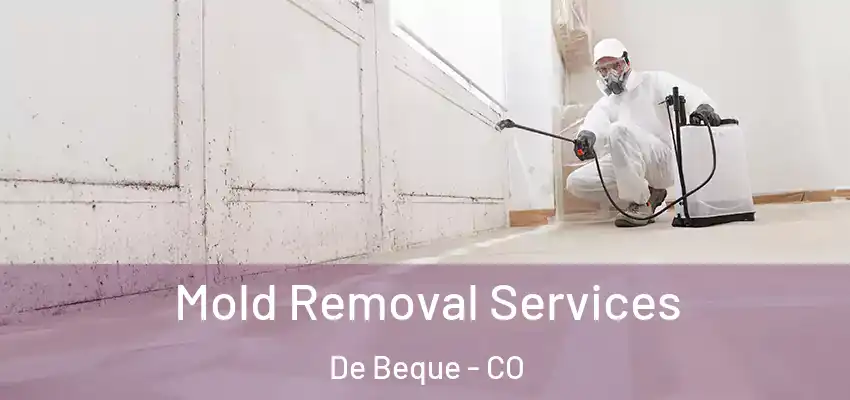  Mold Removal Services De Beque - CO