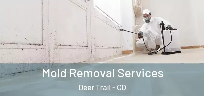  Mold Removal Services Deer Trail - CO