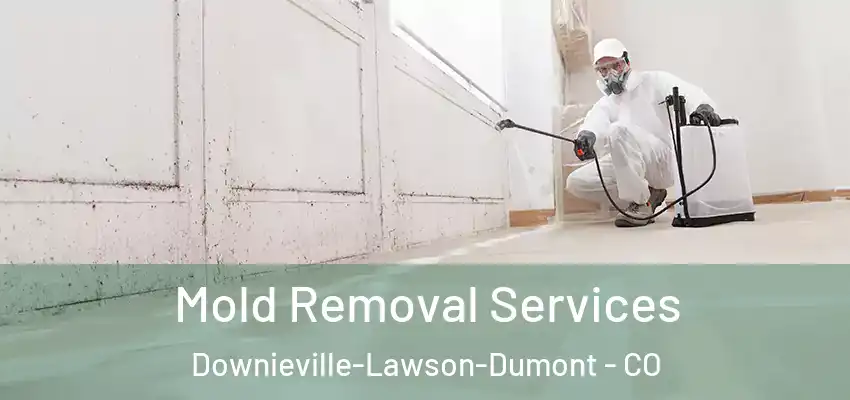  Mold Removal Services Downieville-Lawson-Dumont - CO