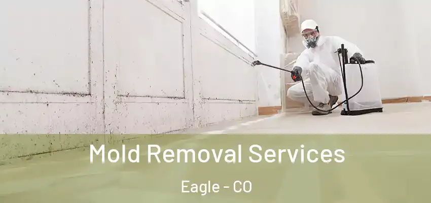 Mold Removal Services Eagle - CO