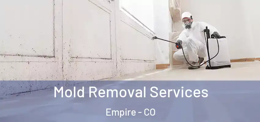 Mold Removal Services Empire - CO