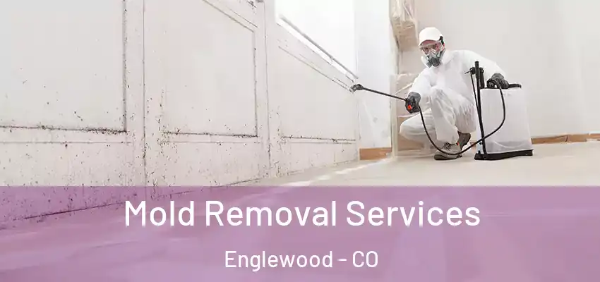  Mold Removal Services Englewood - CO
