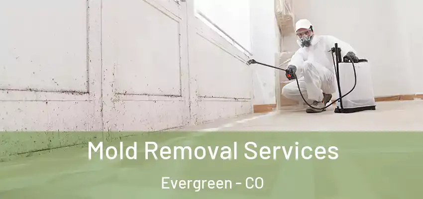 Mold Removal Services Evergreen - CO