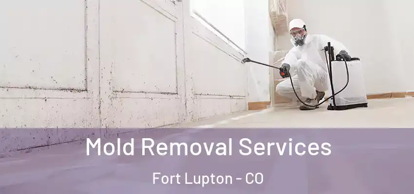  Mold Removal Services Fort Lupton - CO
