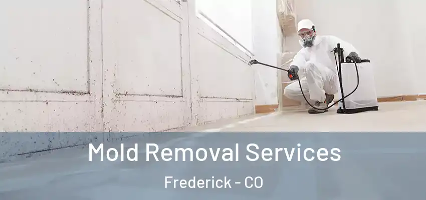  Mold Removal Services Frederick - CO