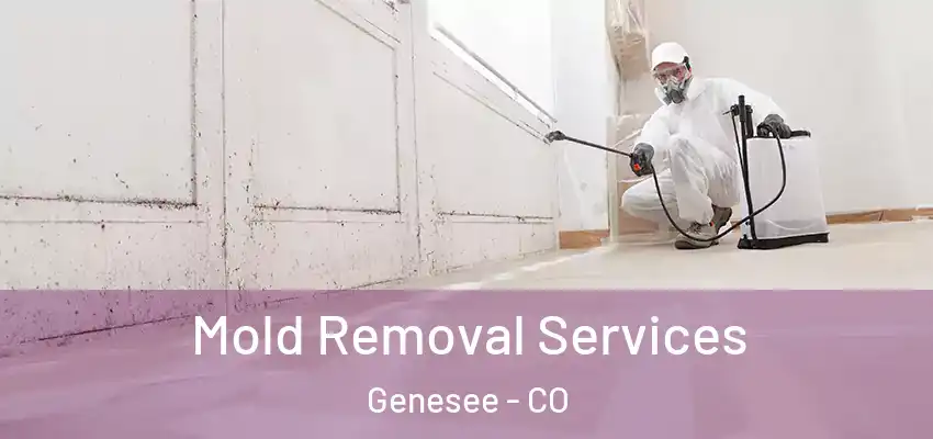  Mold Removal Services Genesee - CO