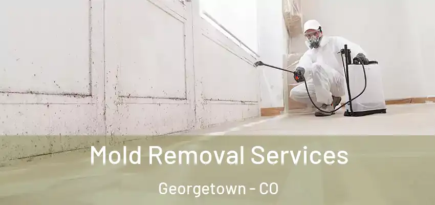 Mold Removal Services Georgetown - CO