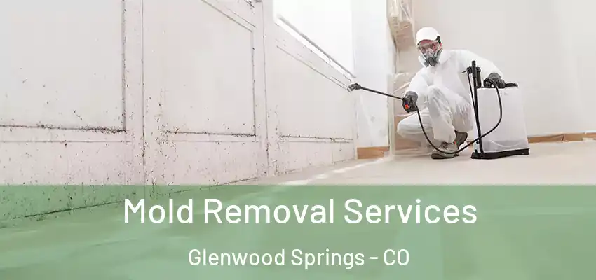  Mold Removal Services Glenwood Springs - CO