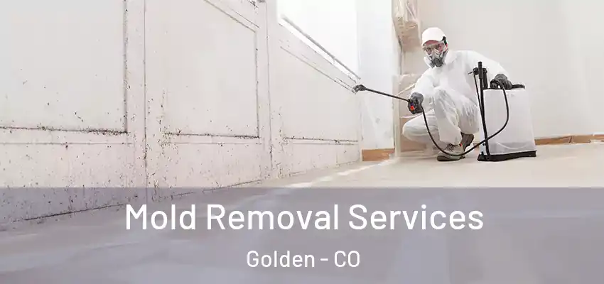  Mold Removal Services Golden - CO
