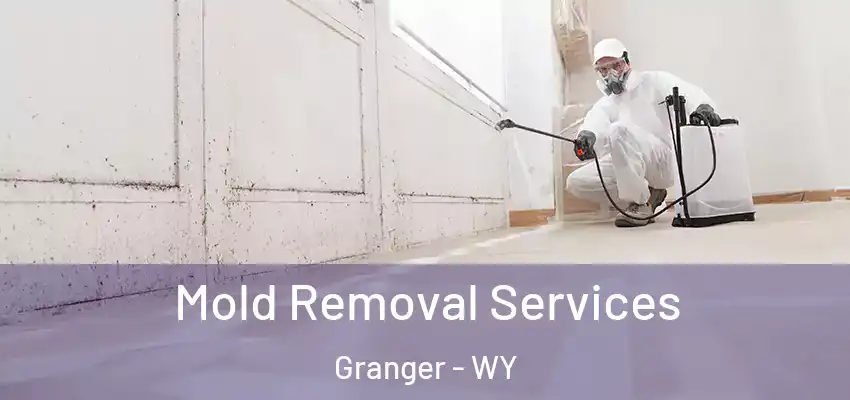 Mold Removal Services Granger - WY