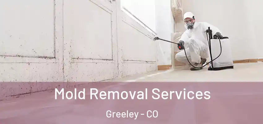  Mold Removal Services Greeley - CO
