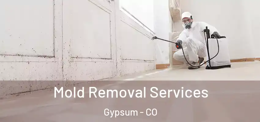 Mold Removal Services Gypsum - CO