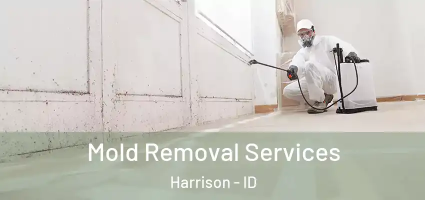 Mold Removal Services Harrison - ID