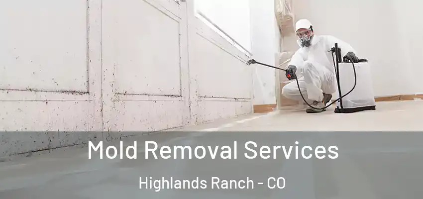  Mold Removal Services Highlands Ranch - CO