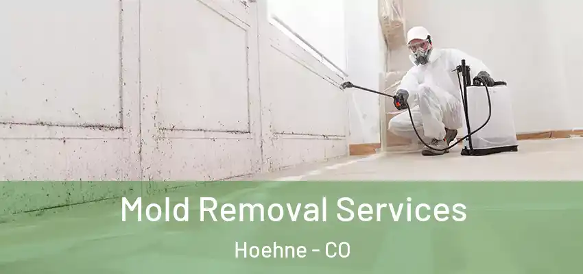 Mold Removal Services Hoehne - CO
