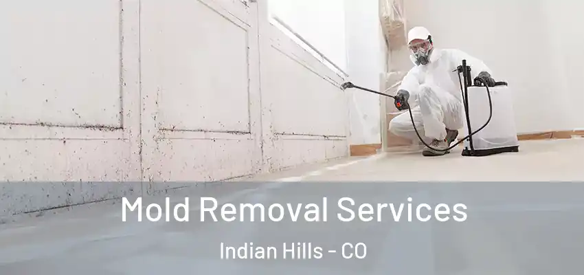  Mold Removal Services Indian Hills - CO