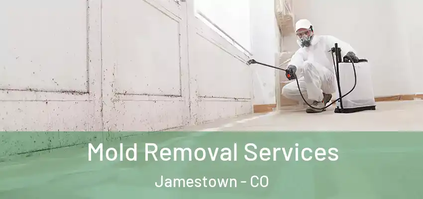 Mold Removal Services Jamestown - CO