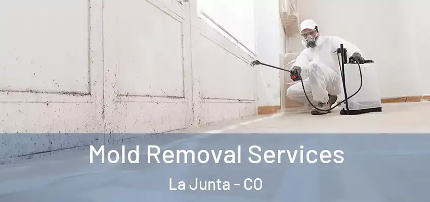  Mold Removal Services La Junta - CO