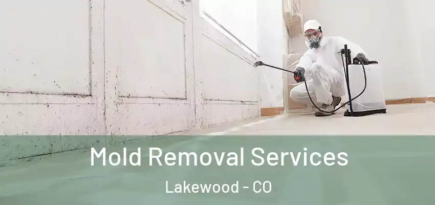 Mold Removal Services Lakewood - CO