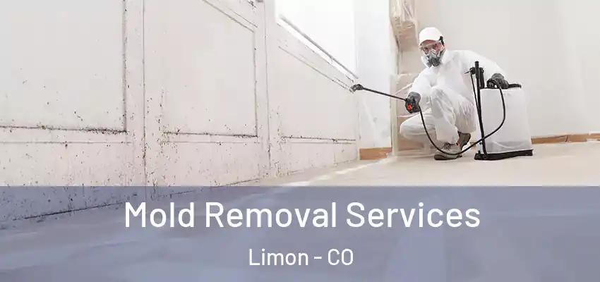  Mold Removal Services Limon - CO
