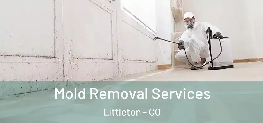  Mold Removal Services Littleton - CO