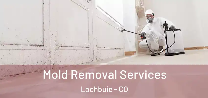  Mold Removal Services Lochbuie - CO
