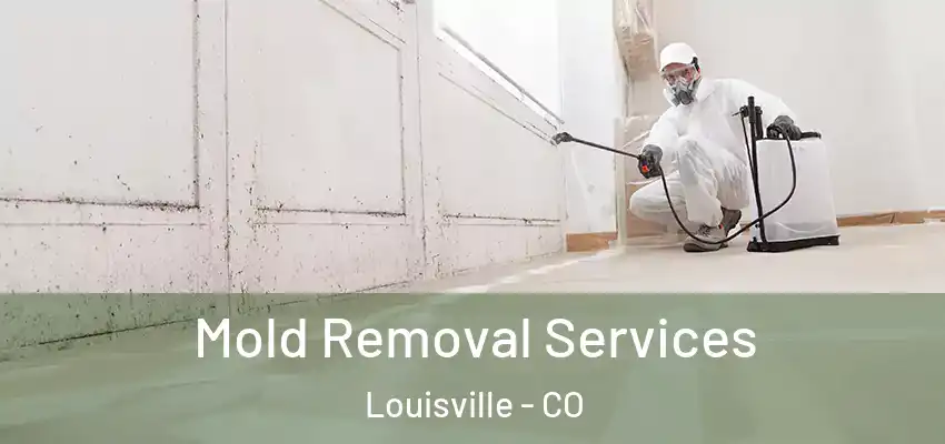  Mold Removal Services Louisville - CO