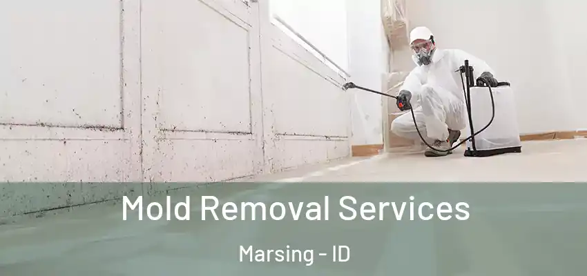  Mold Removal Services Marsing - ID