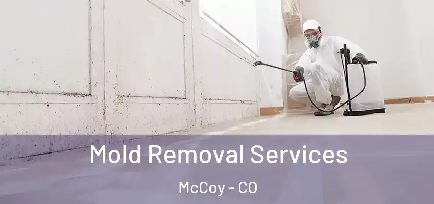 Mold Removal Services McCoy - CO