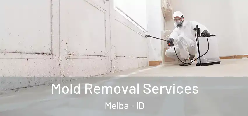 Mold Removal Services Melba - ID