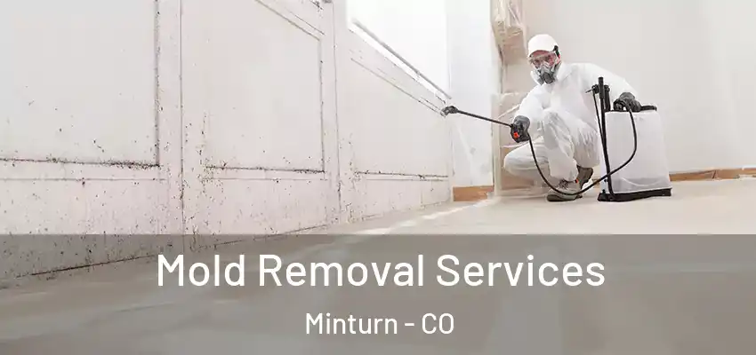  Mold Removal Services Minturn - CO