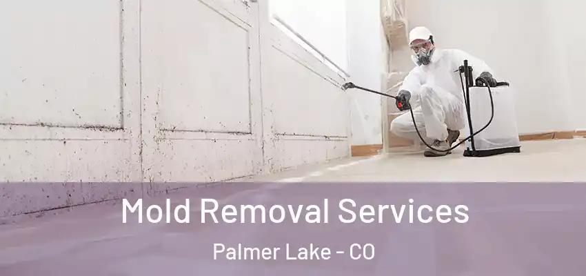 Mold Removal Services Palmer Lake - CO