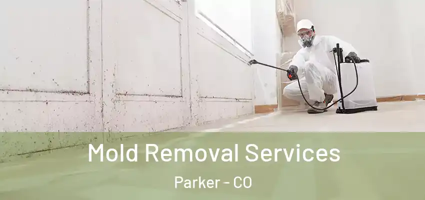 Mold Removal Services Parker - CO