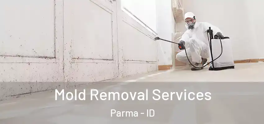Mold Removal Services Parma - ID