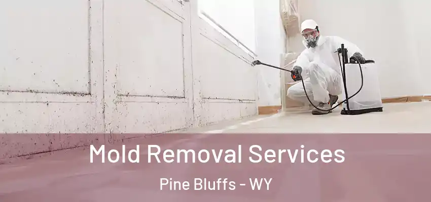 Mold Removal Services Pine Bluffs - WY