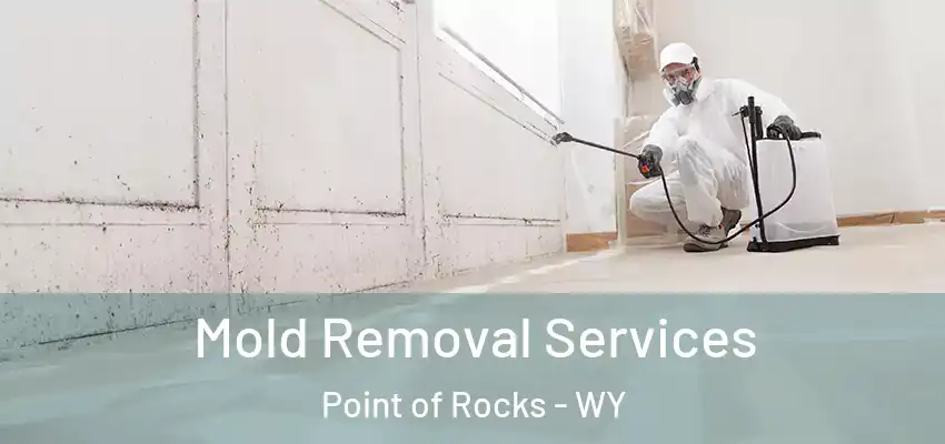  Mold Removal Services Point of Rocks - WY