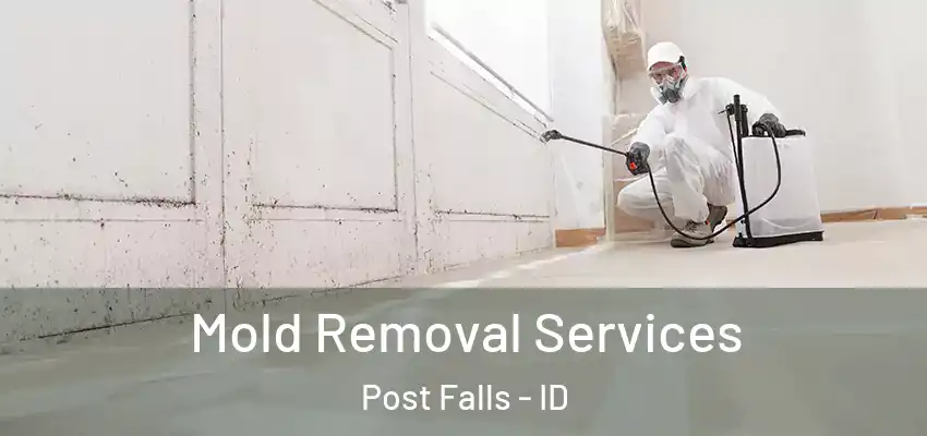 Mold Removal Services Post Falls - ID